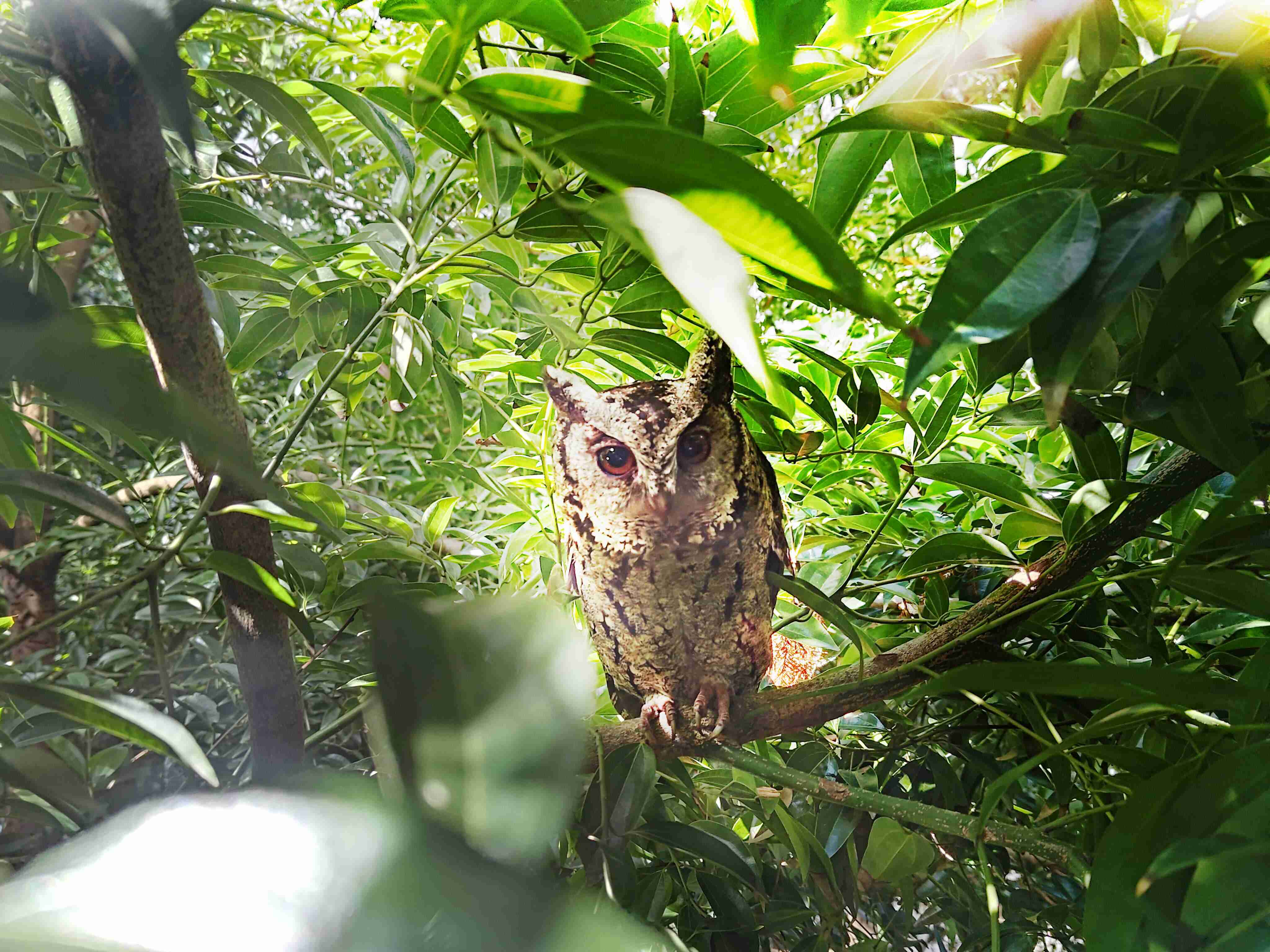 汇旺支付致力提倡净零绿生活，，，，16年以来在全球各厂区植树逾百万棵，，，造就各厂区树木蔚然成林，，犹如森林工厂，，，，成为许多生物的栖息地